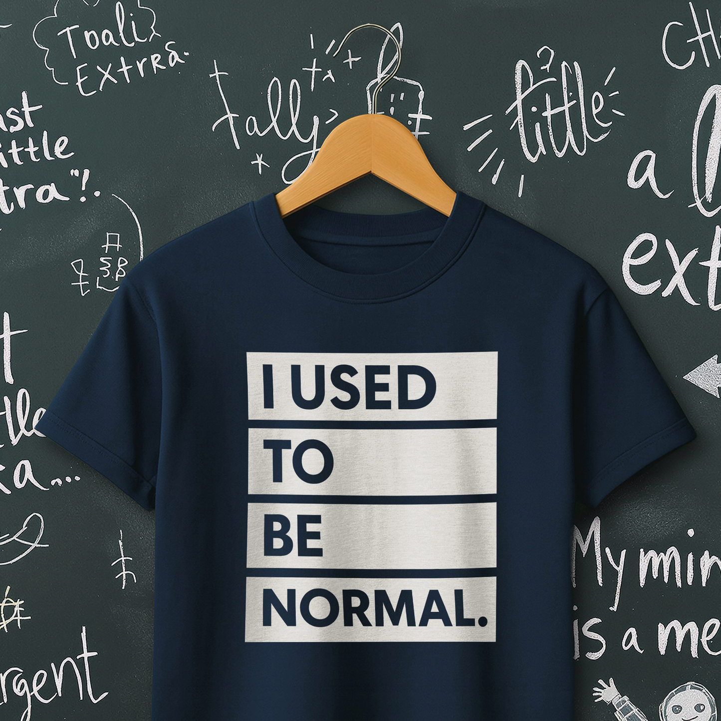 I Used to be Normal T-Shirt