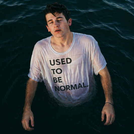Used to be Normal T-Shirt — Humor Graphic Tee