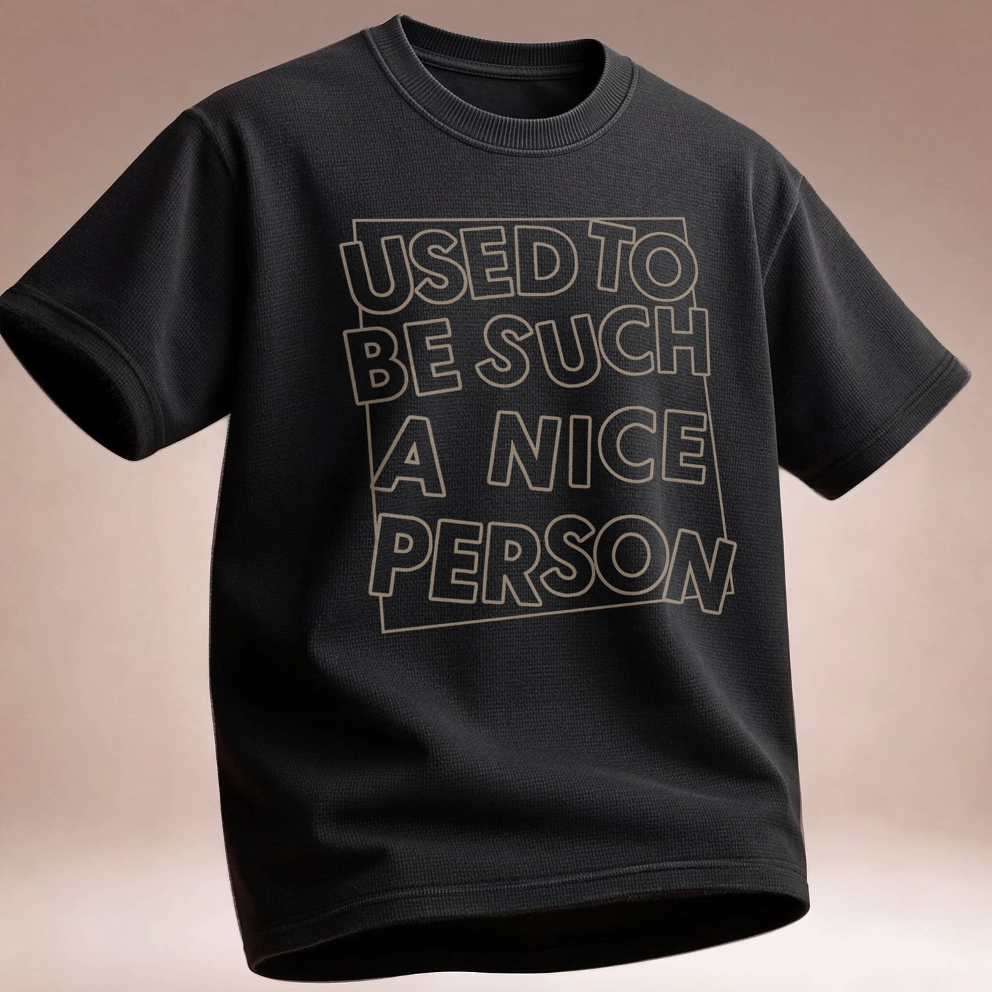 Used to Be Such a Nice Person T-Shirt
