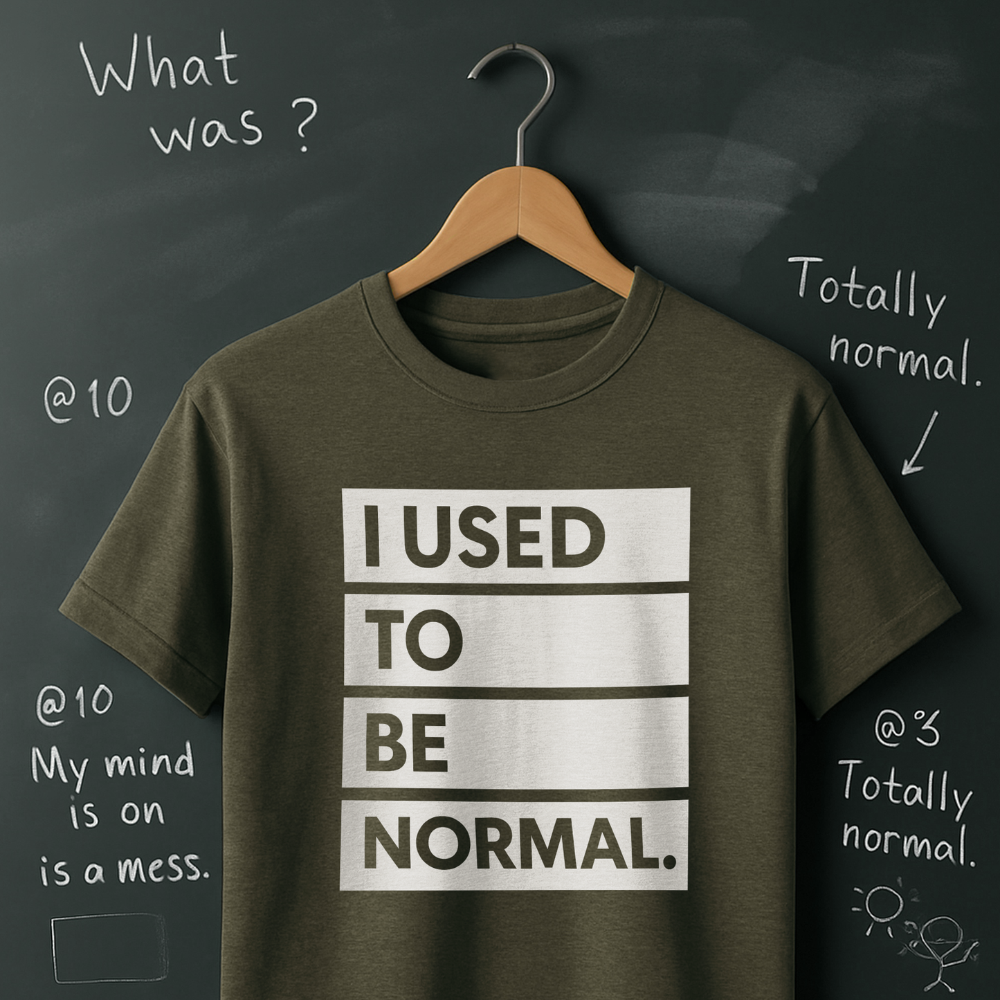 I Used to be Normal T-Shirt