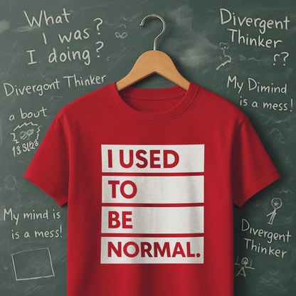 I Used to be Normal T-Shirt