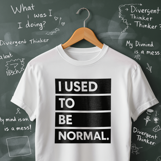 I Used to be Normal T-Shirt
