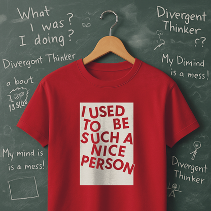 I Used to be Such a Nice Person T-Shirt