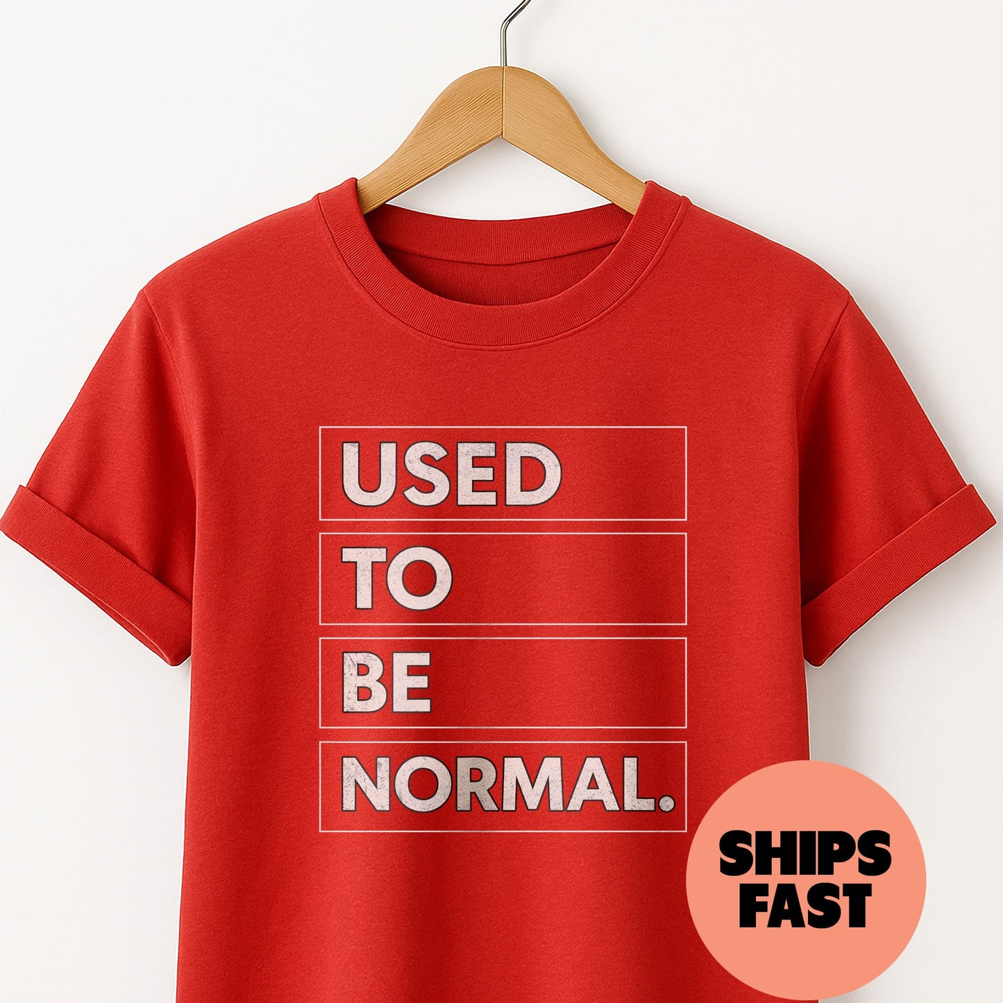 Used to be Normal - T-Shirt