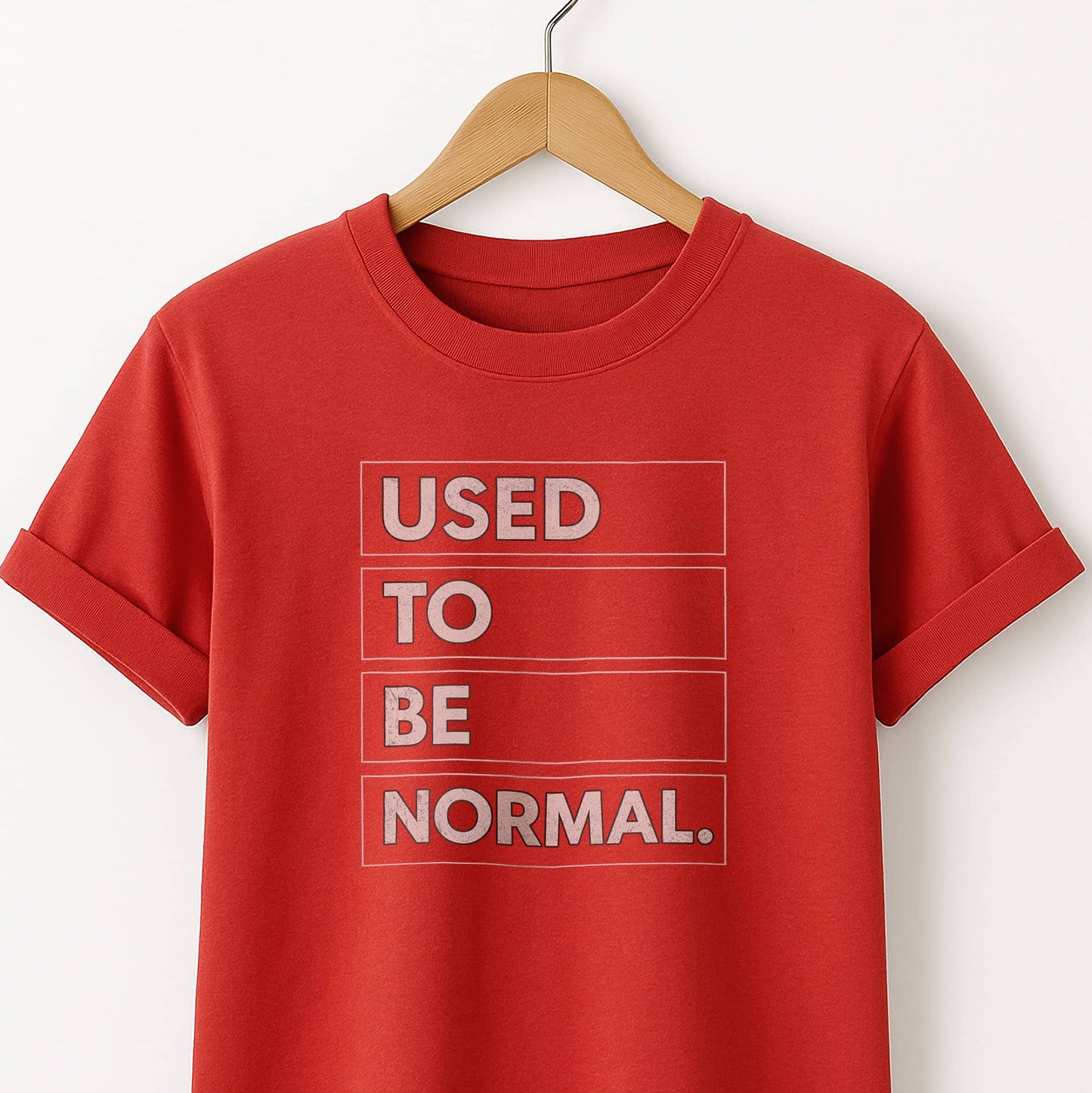 Used to be Normal T-Shirt — Humor Graphic Tee